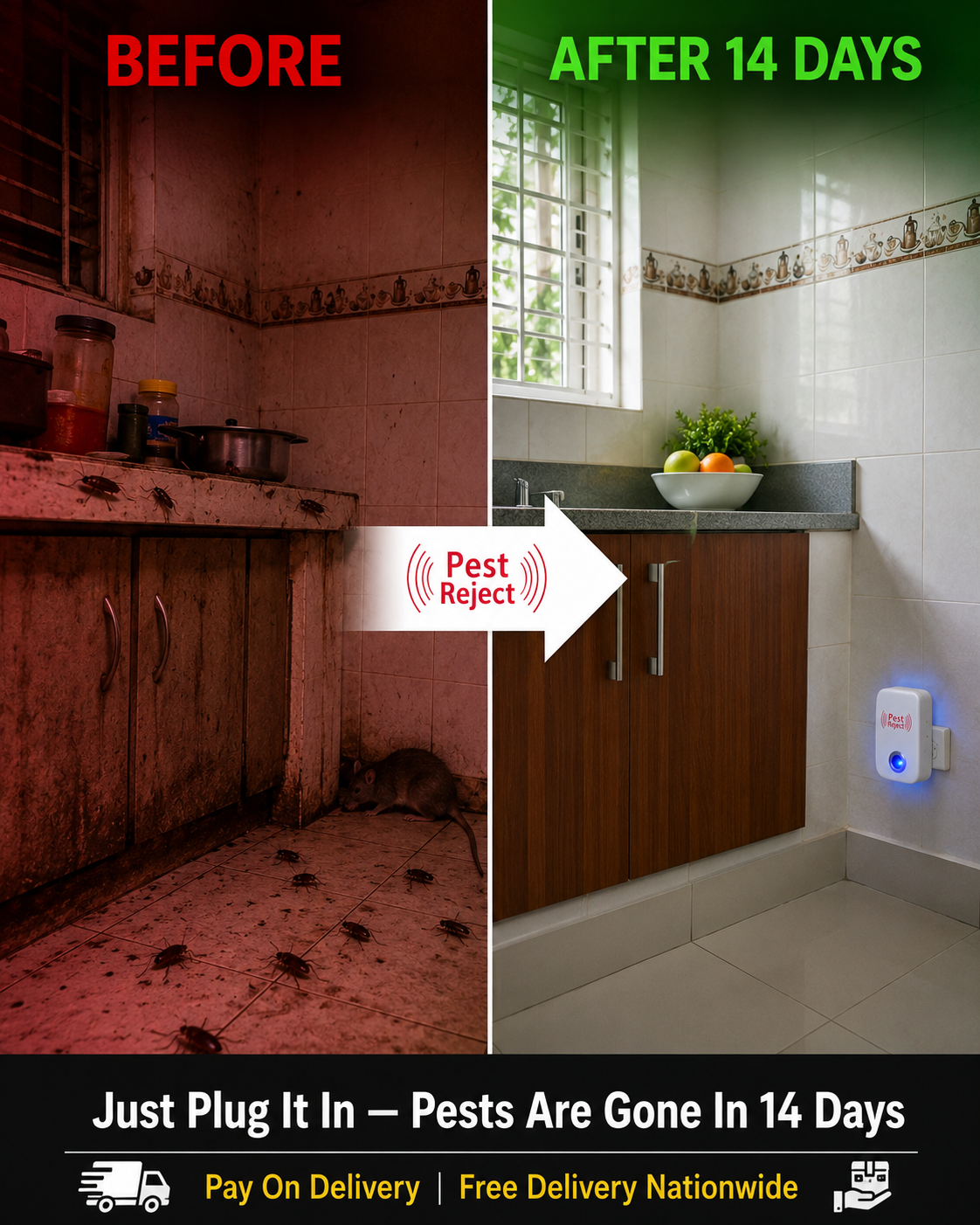 Before and after — Nigerian kitchen 14 days with Pest Reject
